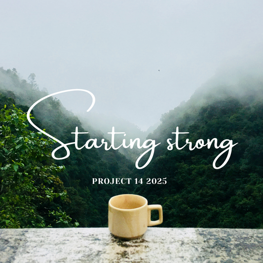 Project 14 2025 - Starting Strong (January 1-14)